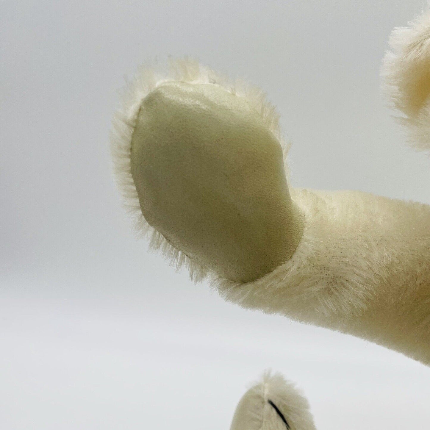 Steiff Set bestehend aus zwei Eisbären Mohair mit Brustschild ohne Fahne