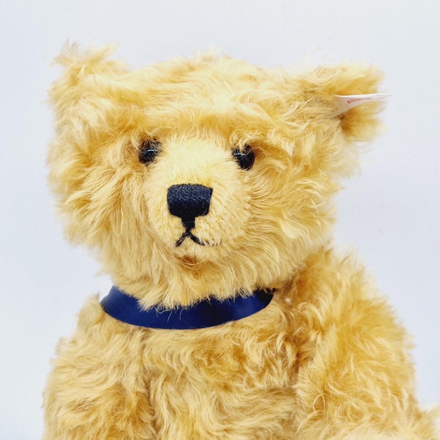 Steiff 420108 Picknick Bär Club Edition 1997/98 34cm limitiert OVP Zertifikat