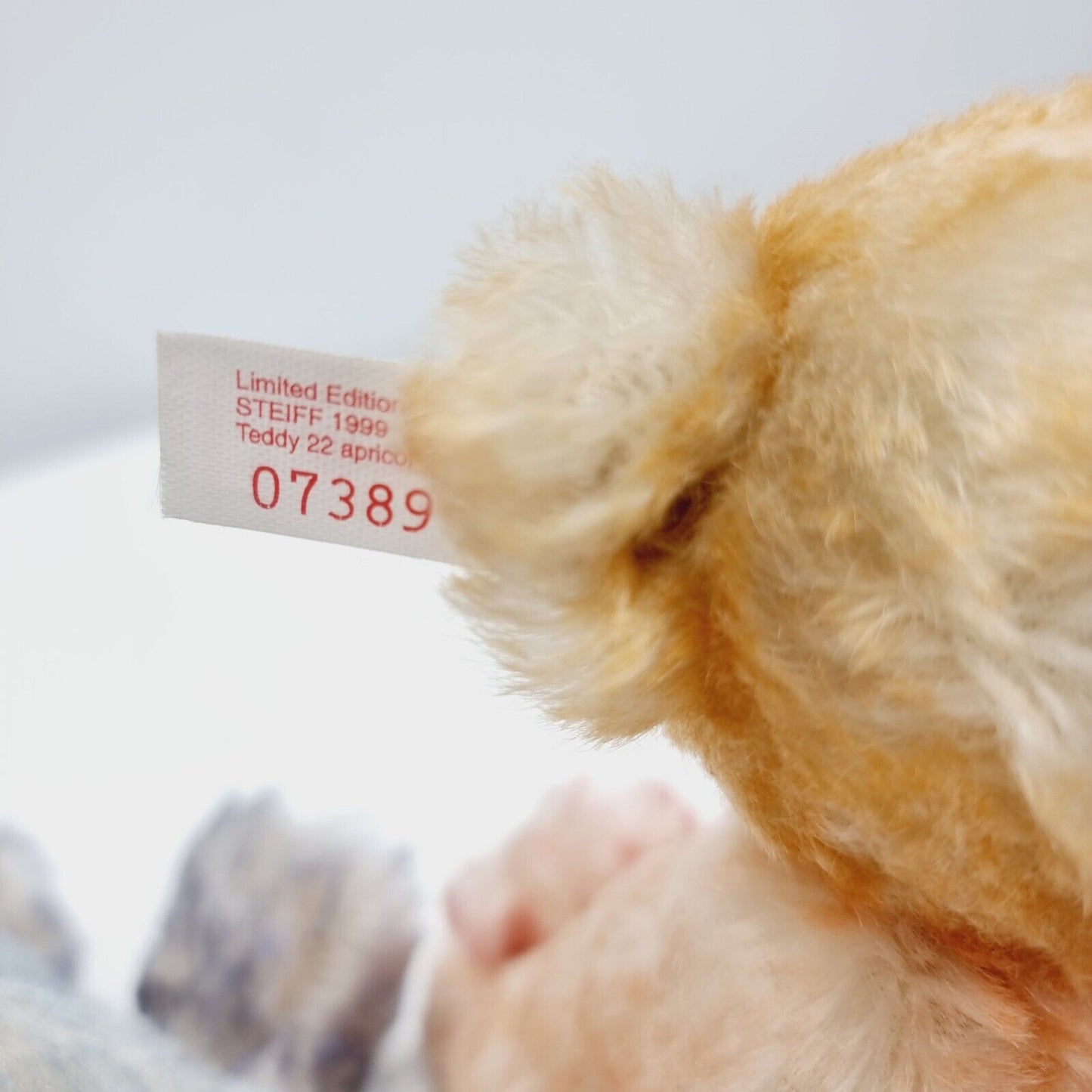 Steiff 670367 Teddybären Set Hello 2000 Good-Bye 1999 Mohair 22 cm