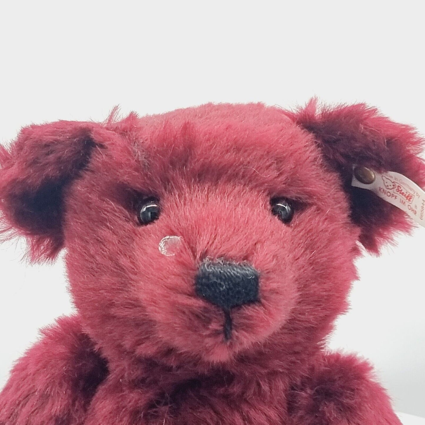 Steiff Teddybär Drew Drop Rose 665844 limitiert 3500 Jahr 1999 North America