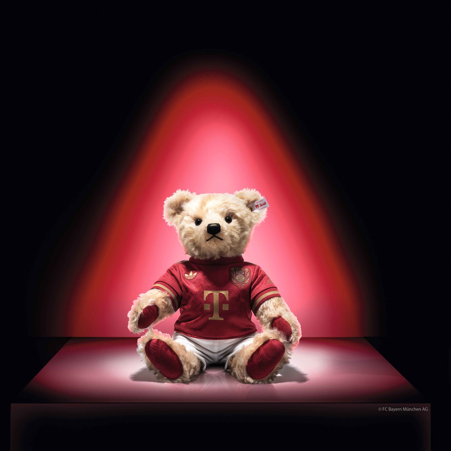 Steiff 672170 FC Bayern Teddybär 125 Jahre 35 cm