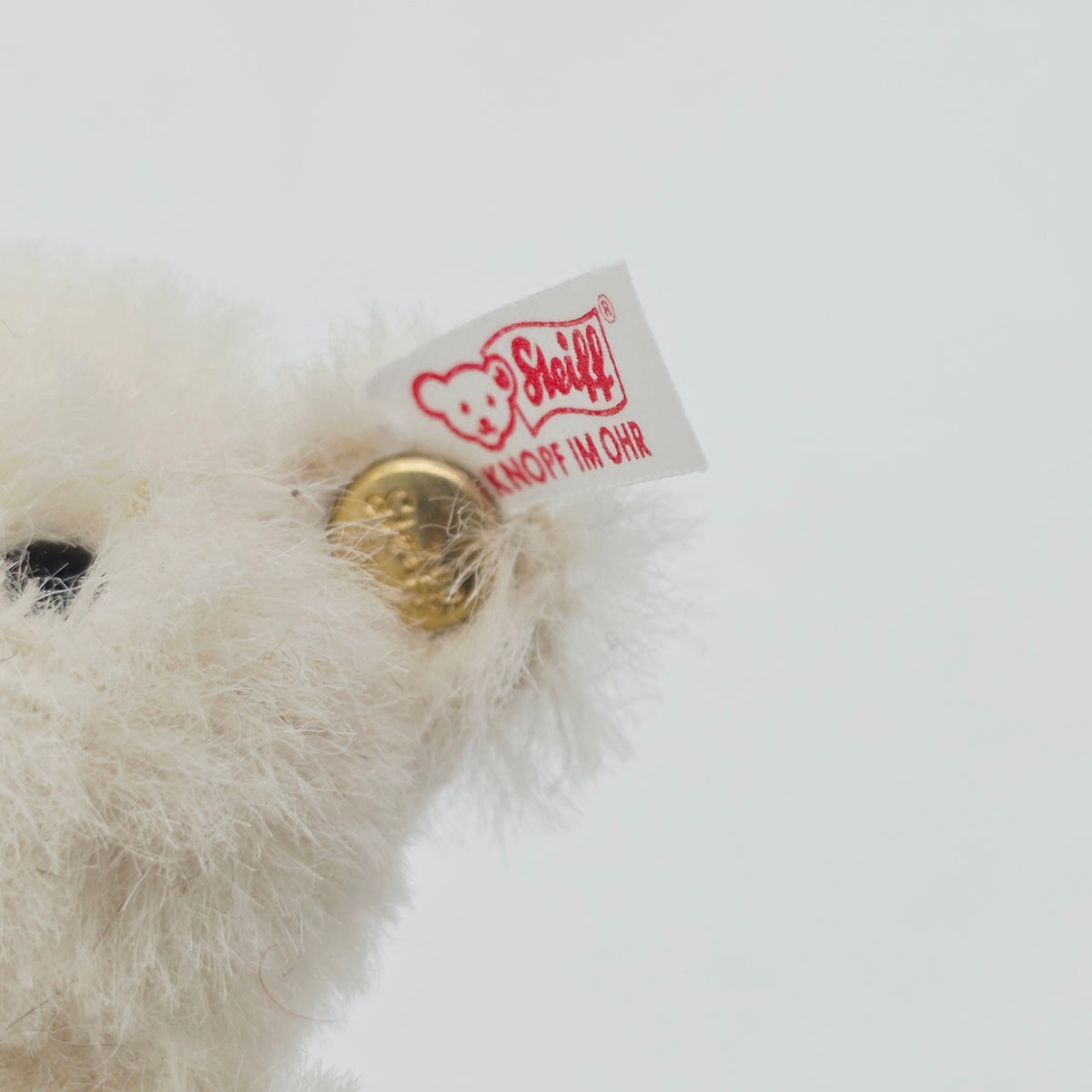 Steiff Club Jahresgeschenk Teddybär Jahr 2008 weiß