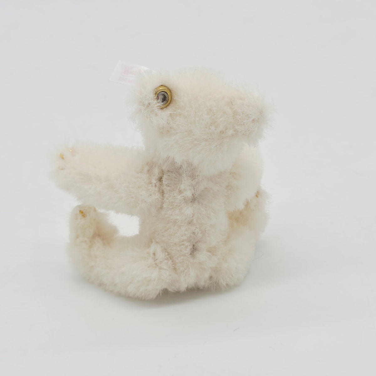 Steiff Club Jahresgeschenk Teddybär Jahr 2008 weiß