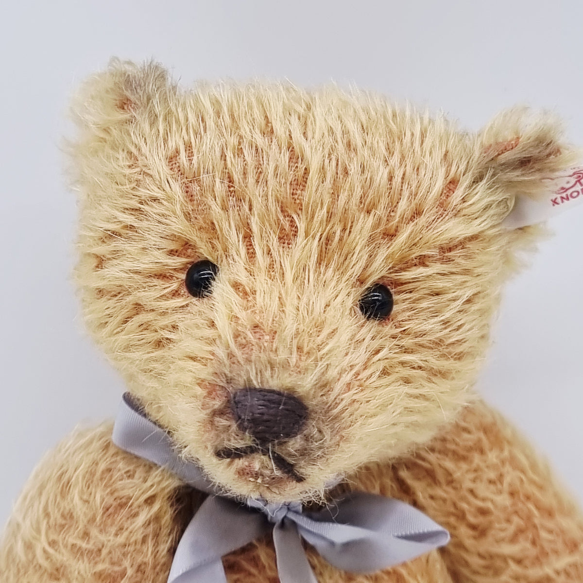 Steiff 038129 Appolonia Margarte Teddybär 2004