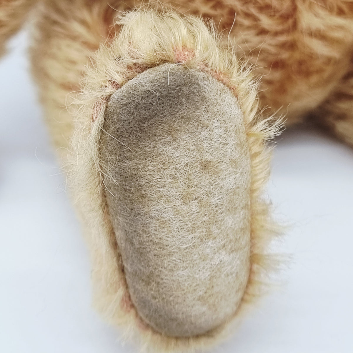 Steiff 038129 Appolonia Margarte Teddybär 2004