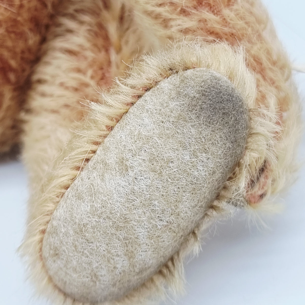 Steiff 038129 Appolonia Margarte Teddybär 2004