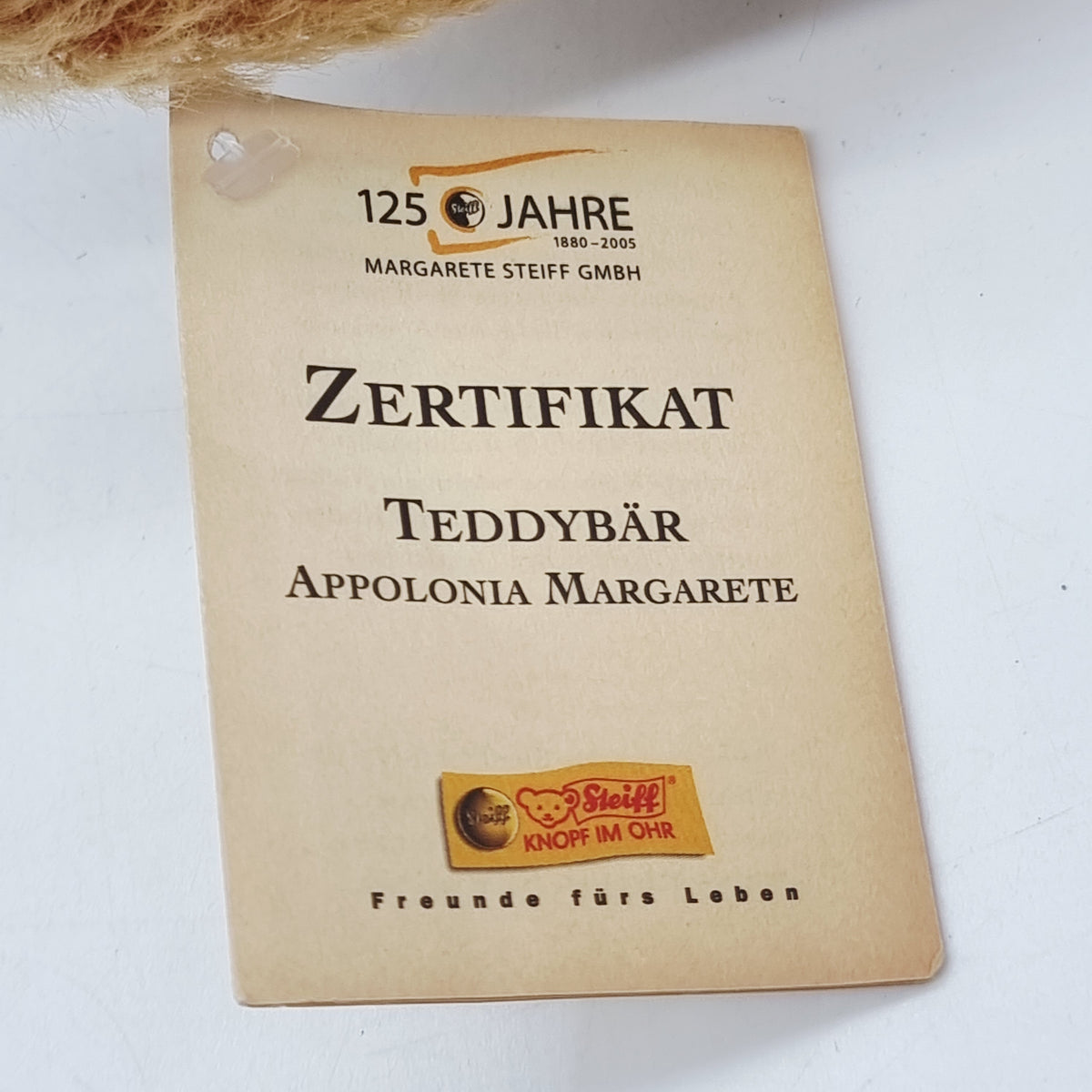 Steiff 038129 Appolonia Margarte Teddybär 2004