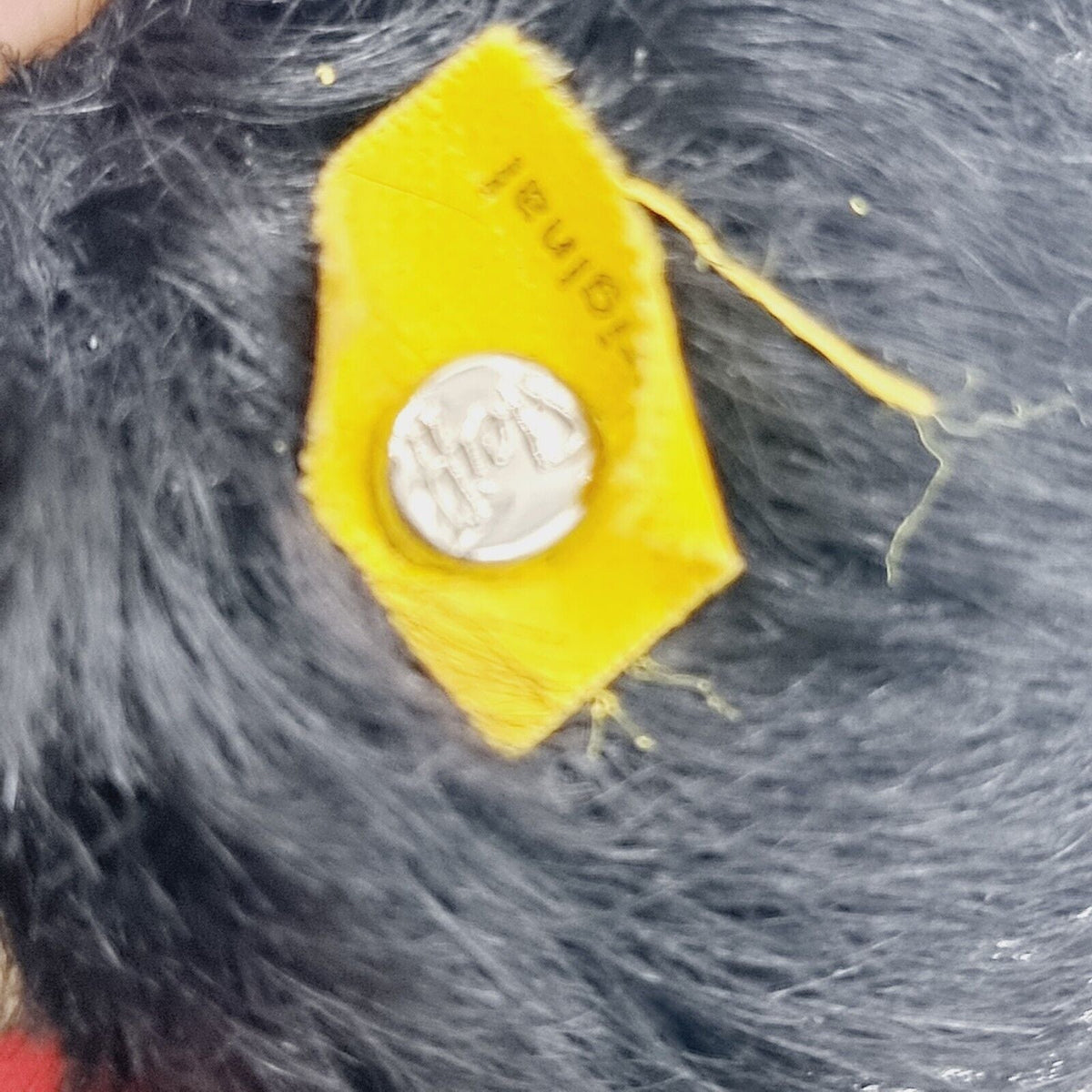 Steiff 4276/19 Cocker Spaniel Cockie 19 cm Mohair