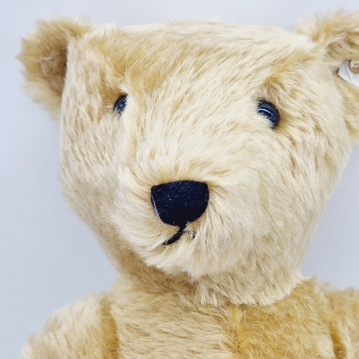 Steiff 0153/43 Teddybär 100 Jahre Edition 43 cm limitierte Auflage