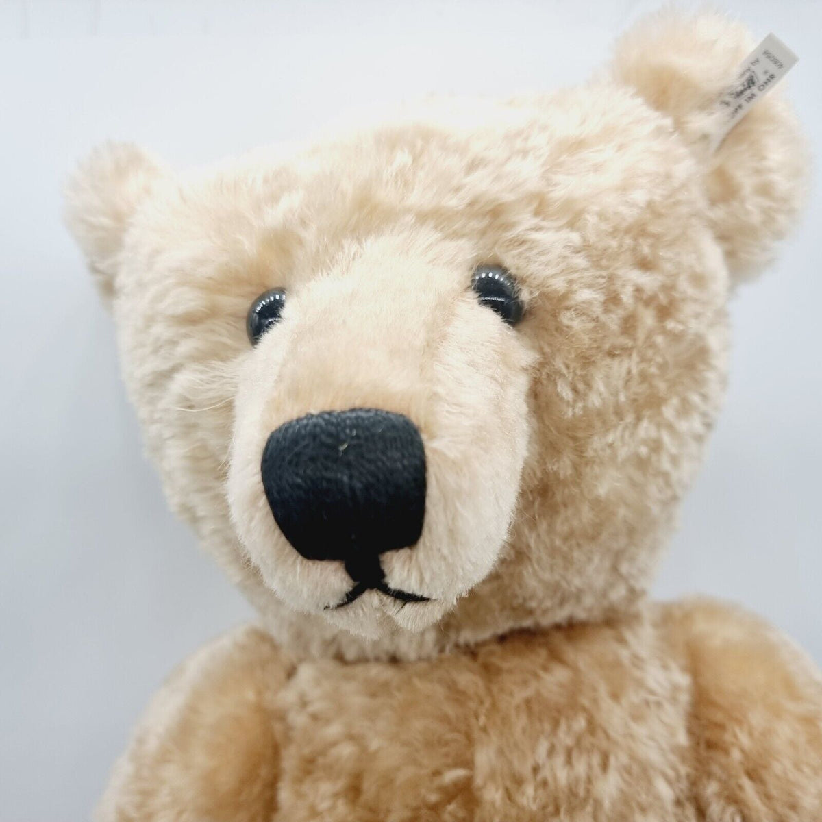 Steiff 406058 Teddybär 1909 blond 65cm limitiert 5000 Replica 1995 Zertifikat