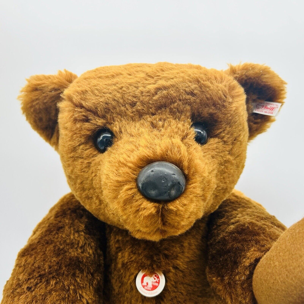 Nr. 101! Steiff Danbury Mint 663123 Teddybär PB 55 Re-Edition limitiert 1000