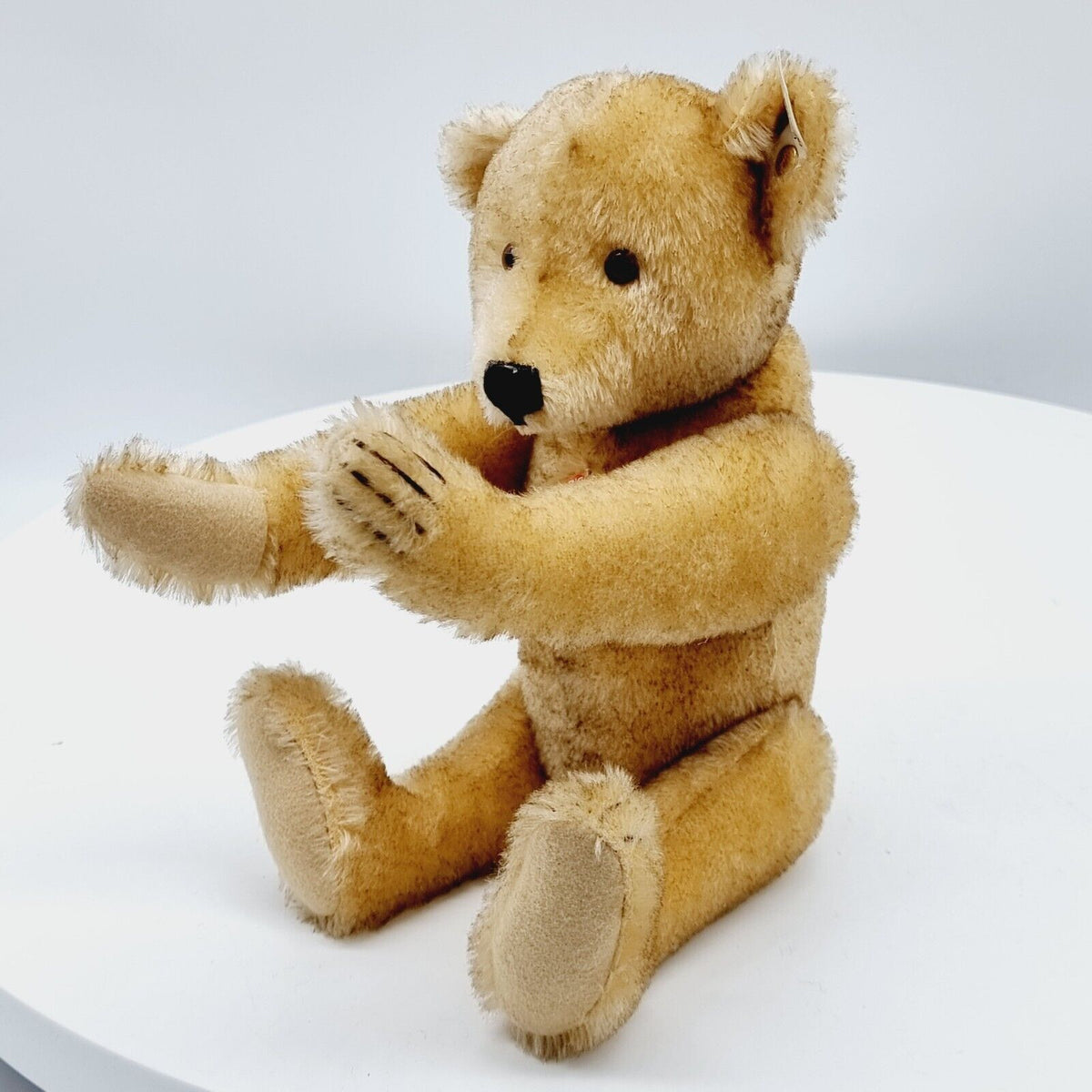 Steiff 407451 Petsy 1928 Replica 35 cm limitiert Jahr 2000