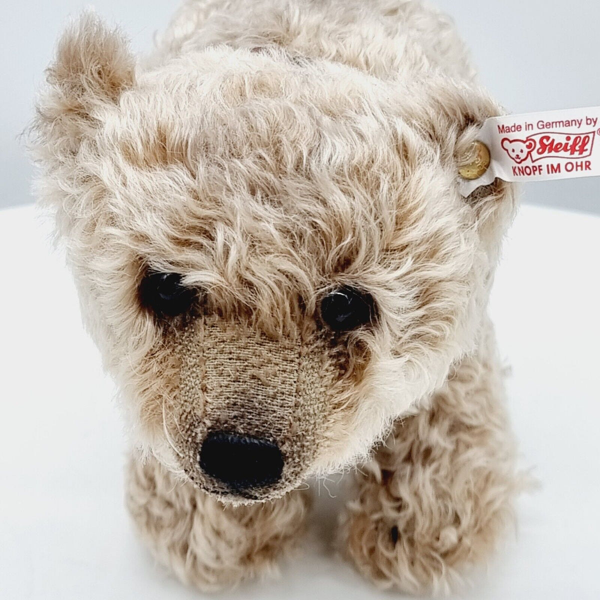 Steiff 663925 Grizzly Teddybär 27 cm braun gespitzt limitiert 1500 Jahr 2011