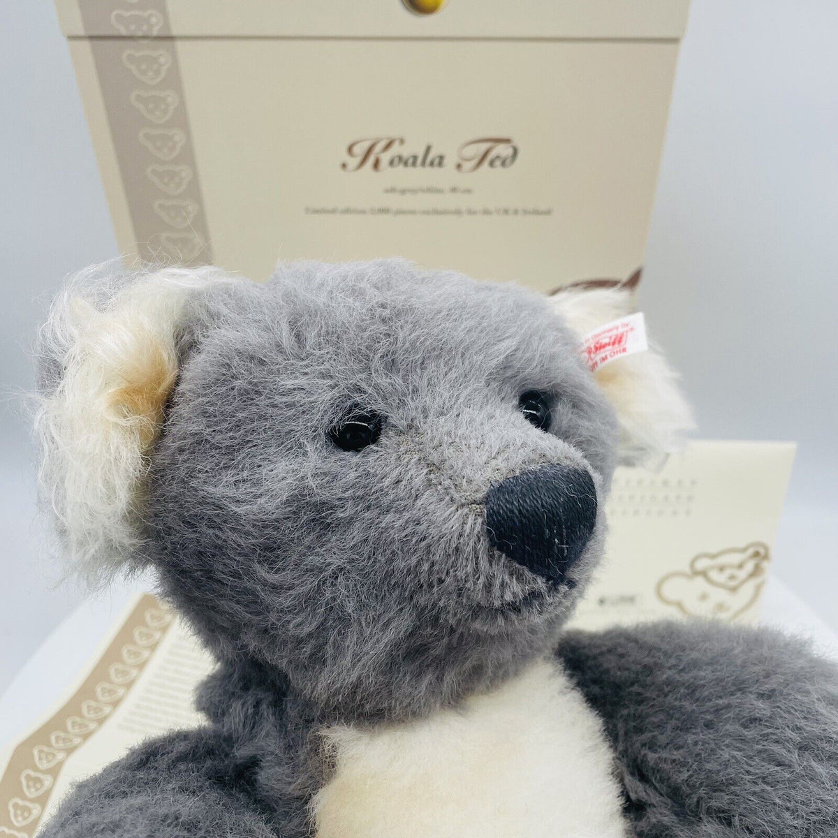 Steiff Teddybär Koala Ted limitiert 2000 aus 2005 UK und Irland exklusiv 40cm