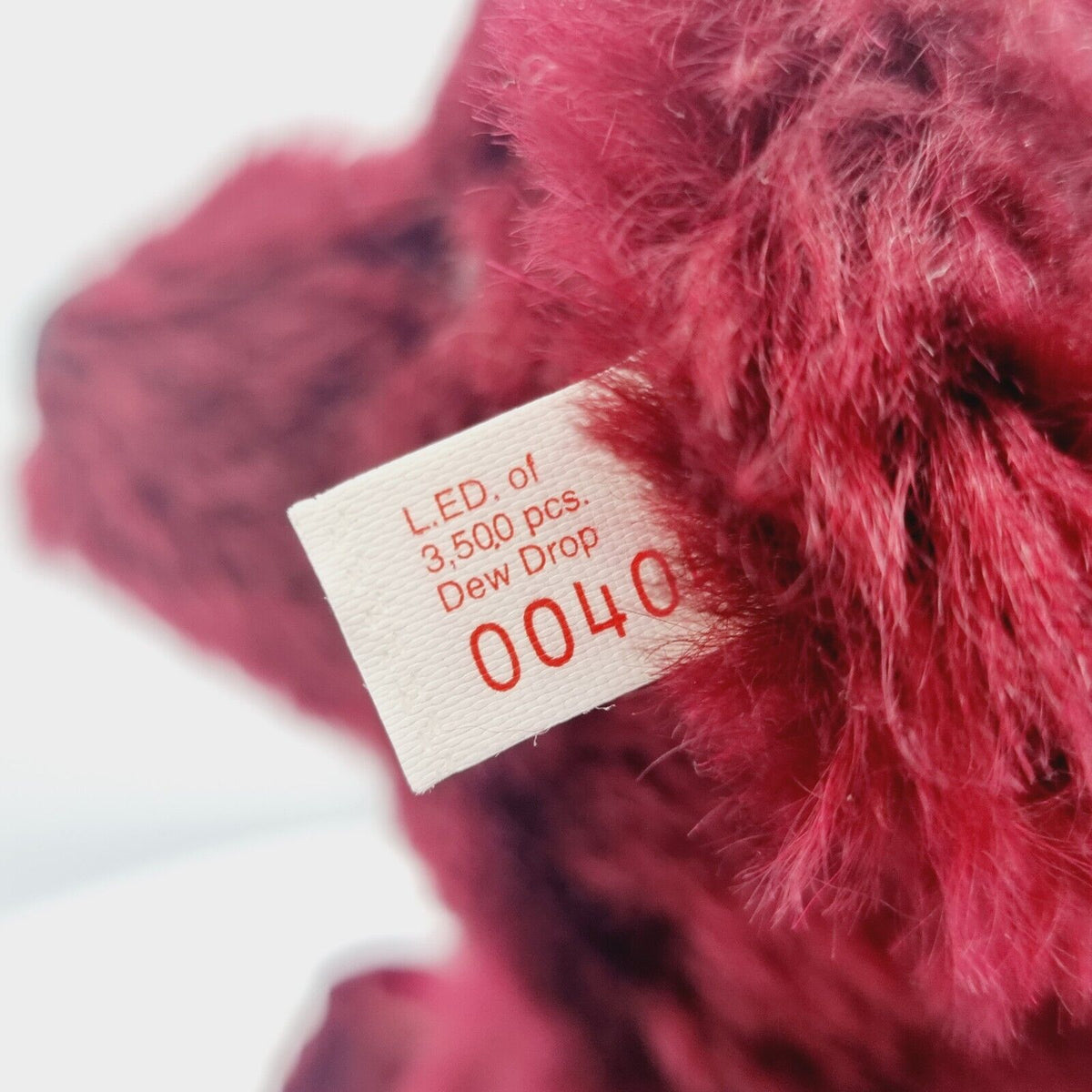 Steiff Teddybär Drew Drop Rose 665844 limitiert 3500 Jahr 1999 North America