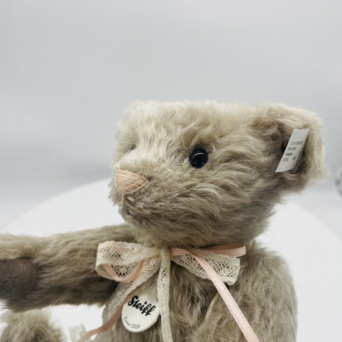 Steiff Teddybär Event 2020 421624 limitiert 2020 aus 2020 22cm Mohair