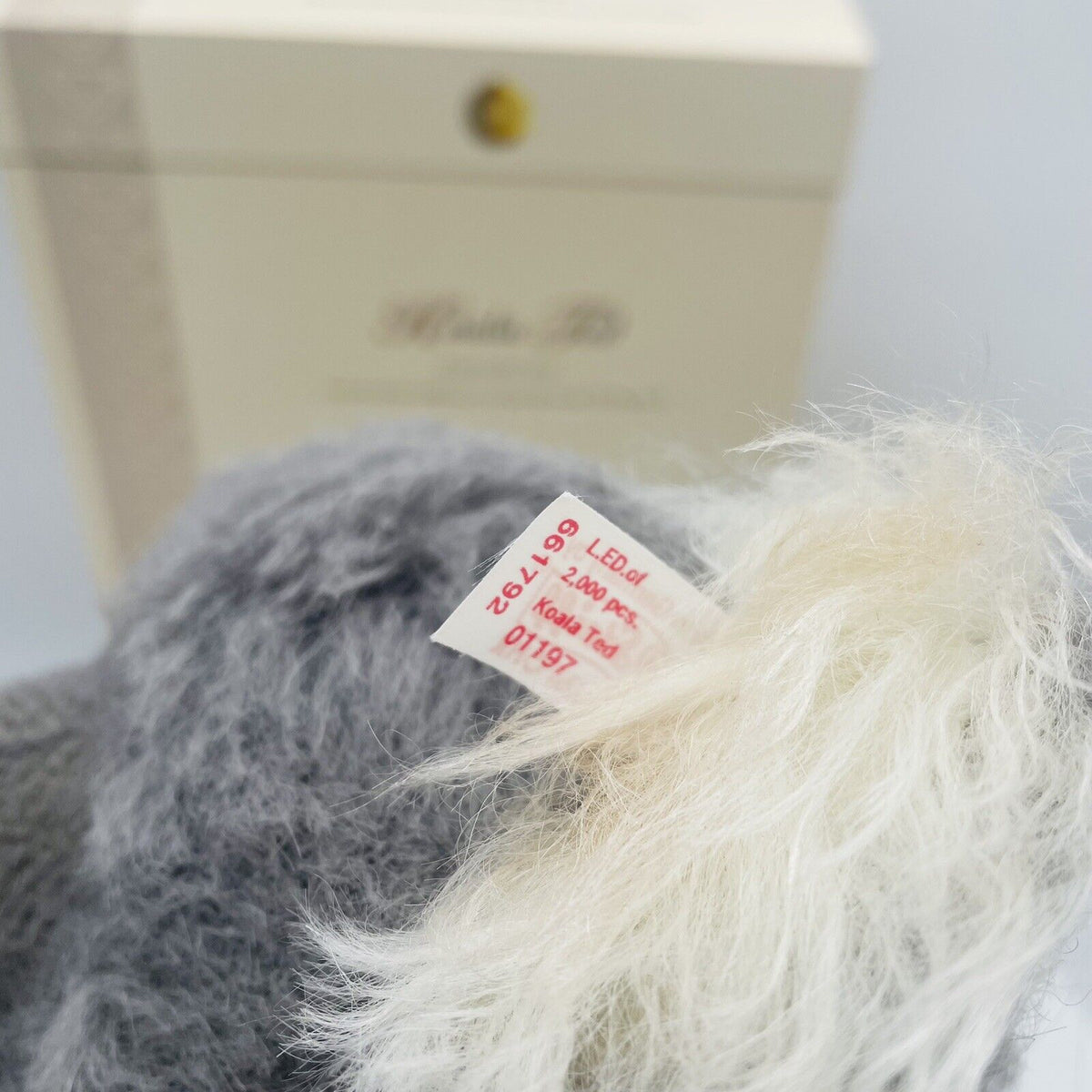 Steiff Teddybär Koala Ted limitiert 2000 aus 2005 UK und Irland exklusiv 40cm