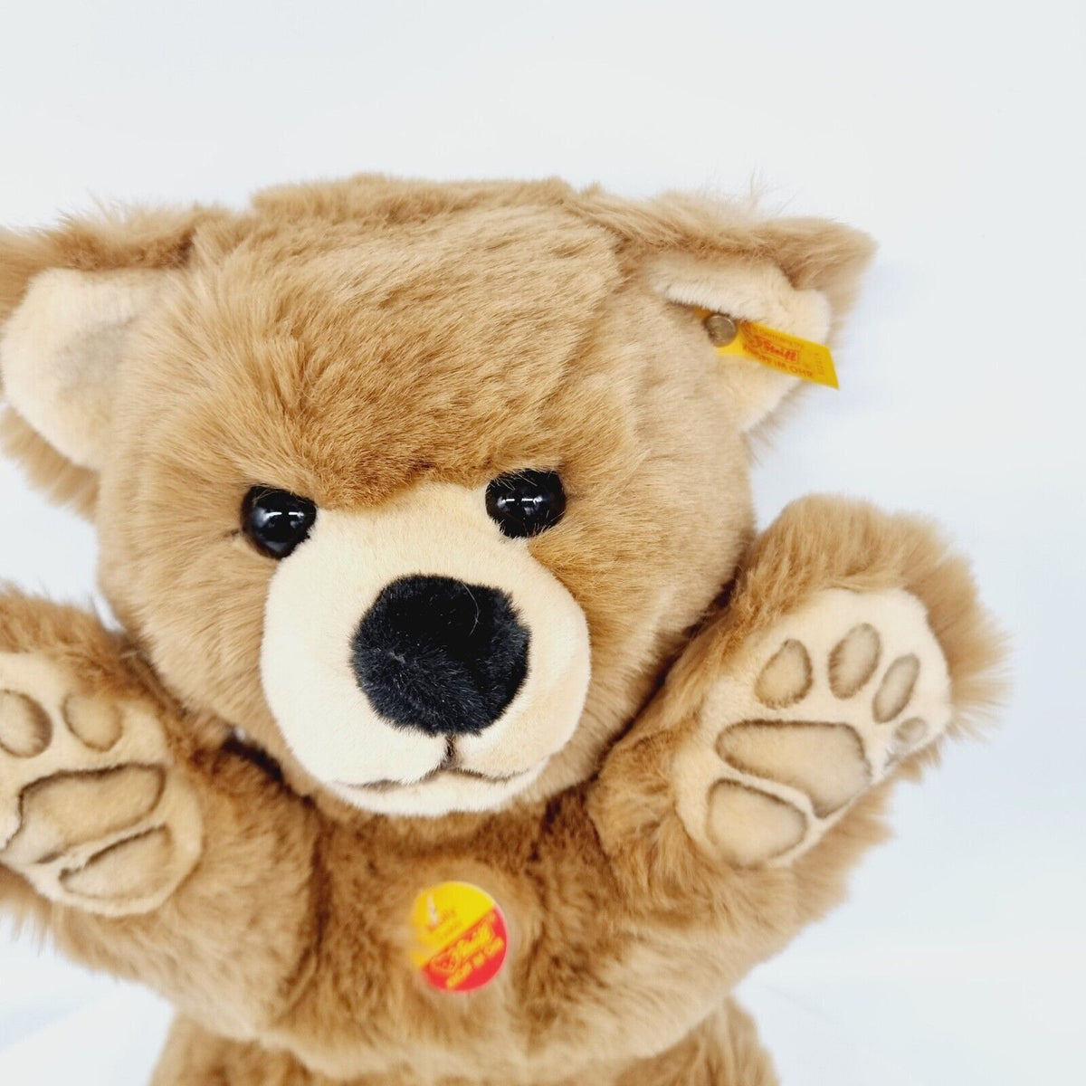 Steiff 022074 Teddybär Molly 40 cm inklusive Etikett Knopf Fahne Brustschild
