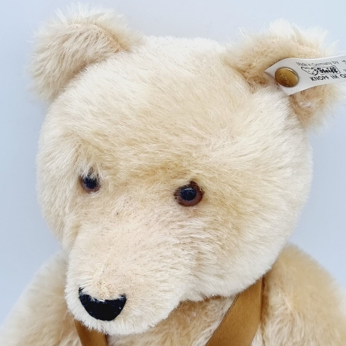 Steiff 420054 Club Edition Baby Bär blond 35cm 1995 limitierte Auflage