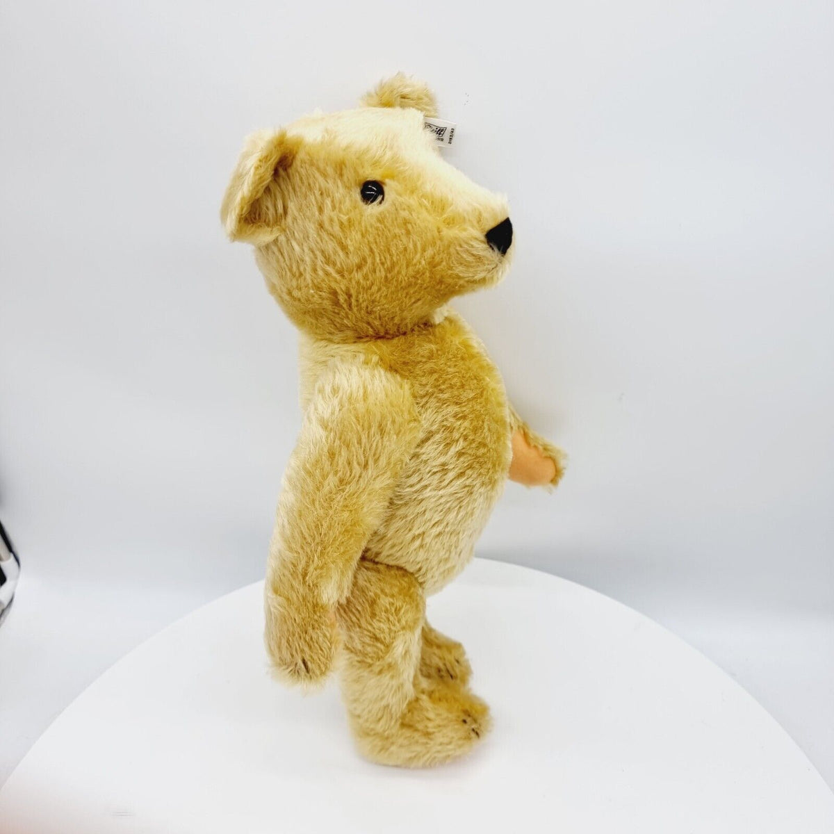 Steiff 0153/43 Teddybär 100 Jahre Edition 43 cm limitierte Auflage