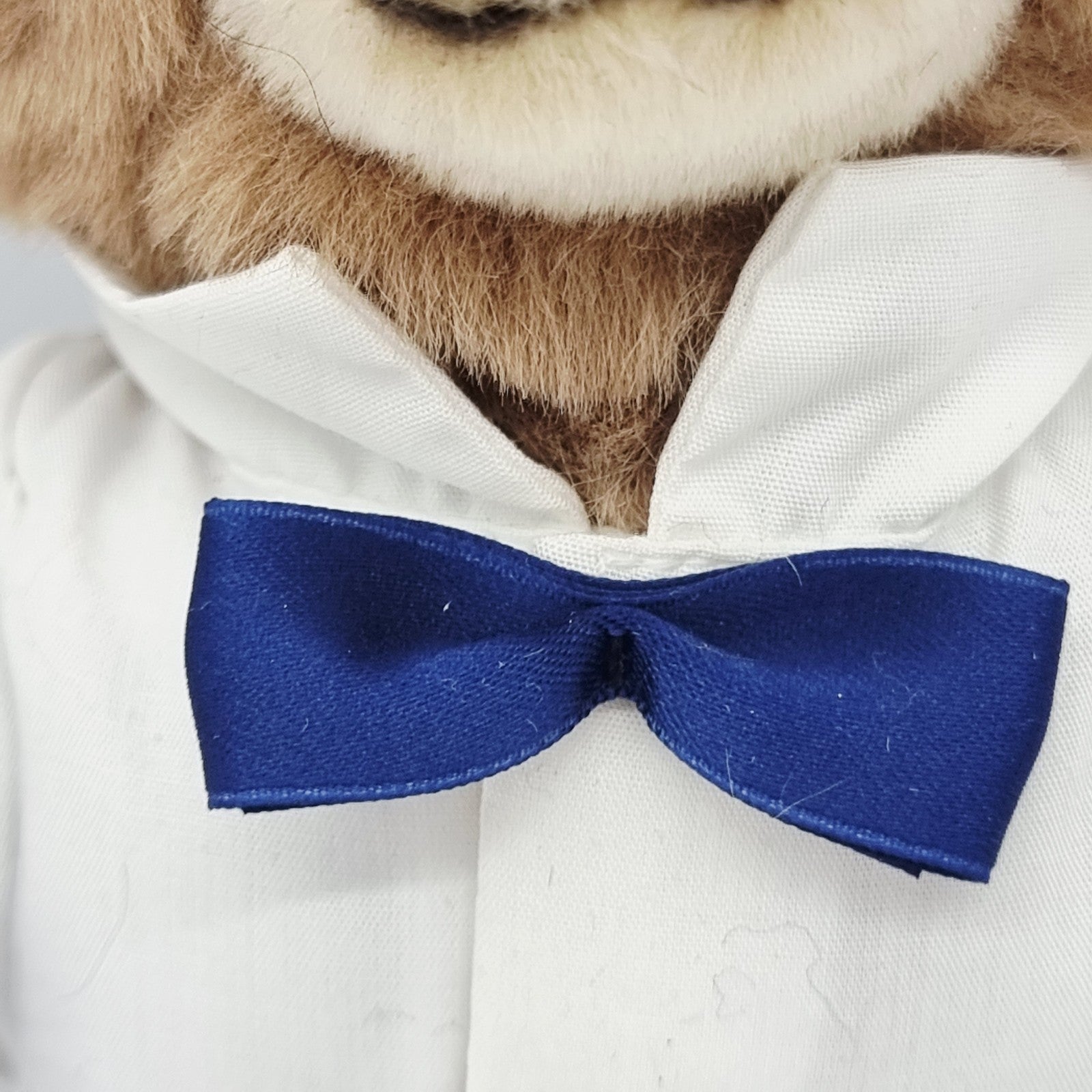 8738804