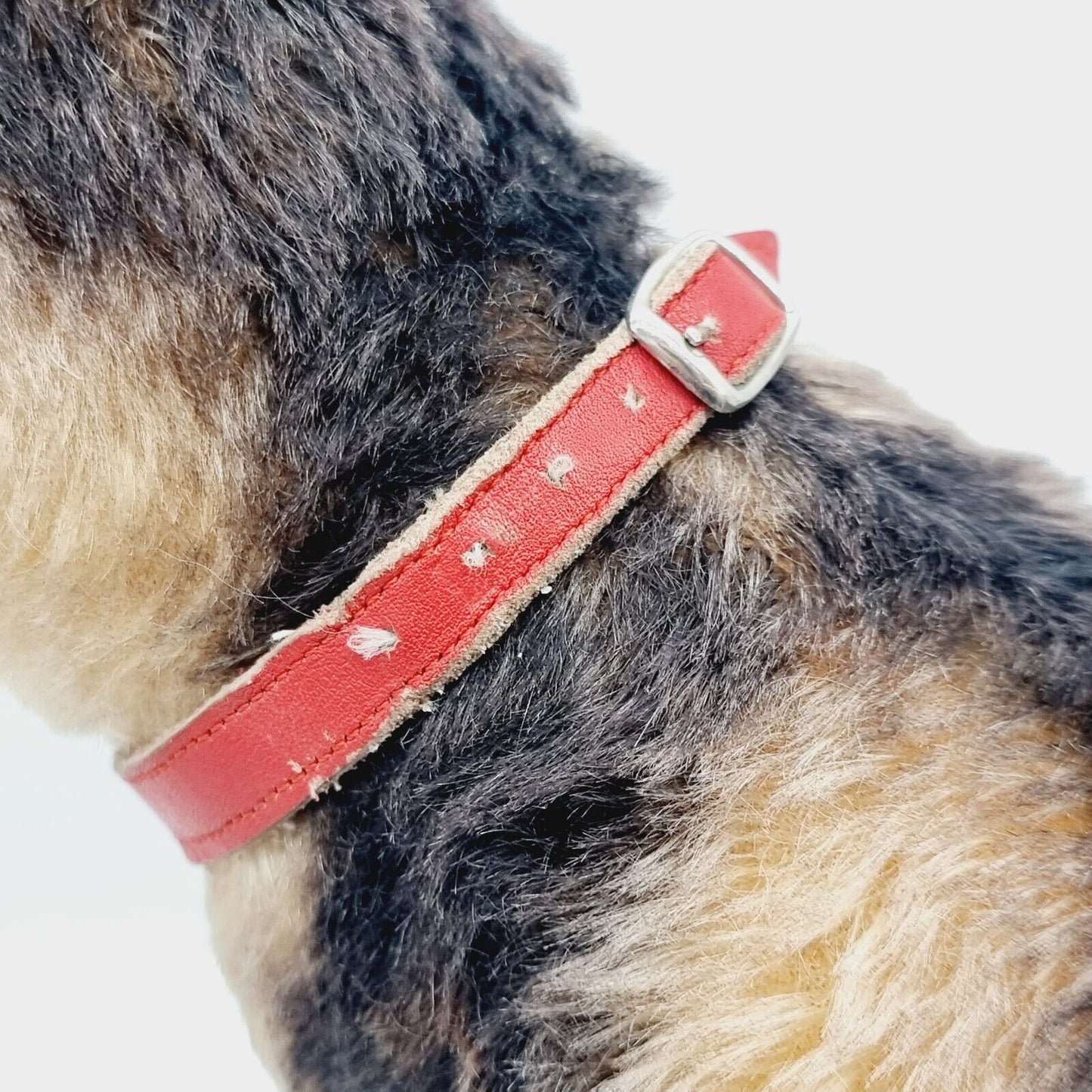 Steiff 1335,02 Terry Airedale Terrier 35 cm 1951 - 1957 größte Ausführung