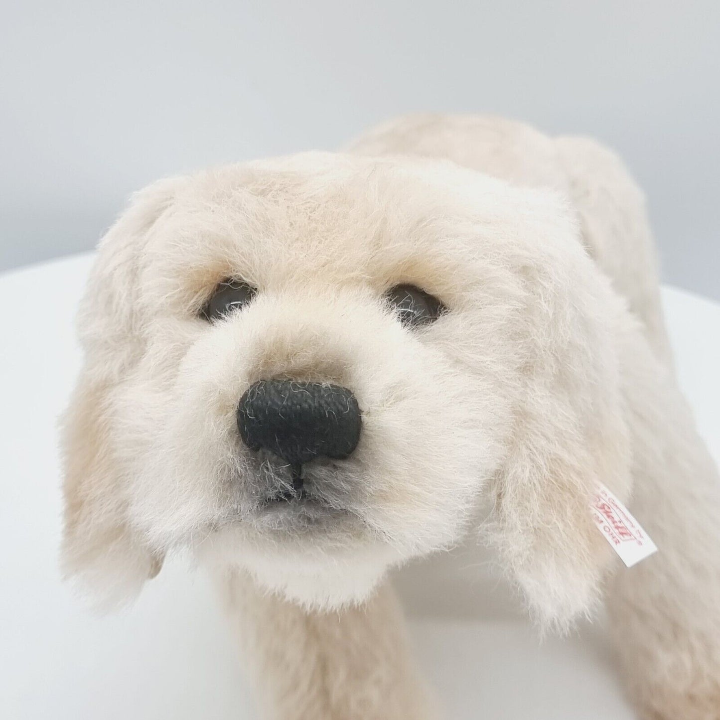 Steiff 038594 Lumpi Golden Retriever Masterpiece Hund Welpe 35 cm Alpaca