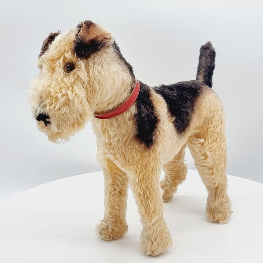 Steiff 1335,02 Terry Airedale Terrier 35 cm 1951 - 1957 größte Ausführung