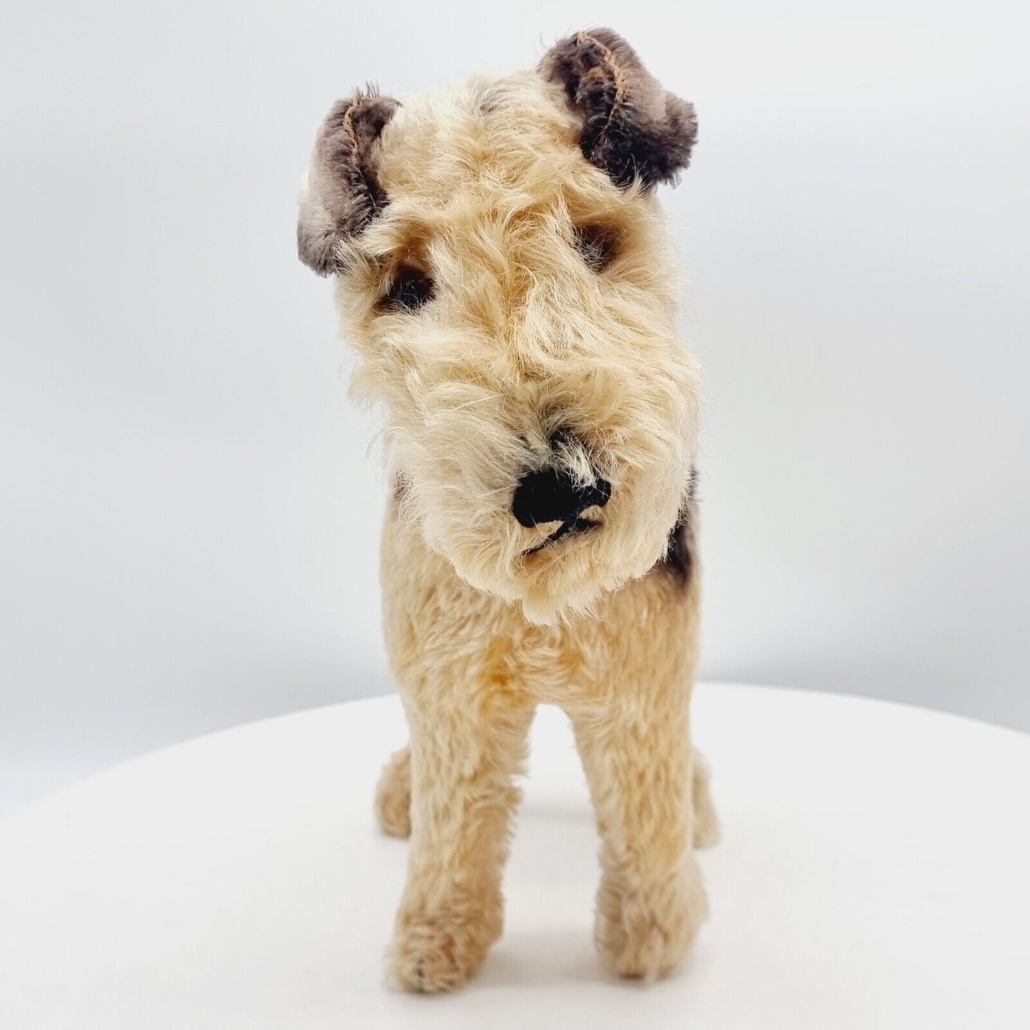 Steiff 1335,02 Terry Airedale Terrier 35 cm 1951 - 1957 größte Ausführung