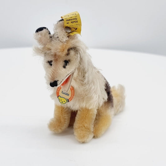 Steiff 4255/12 Collie Hund 12 cm Mohair sitzend 1968 - 1969