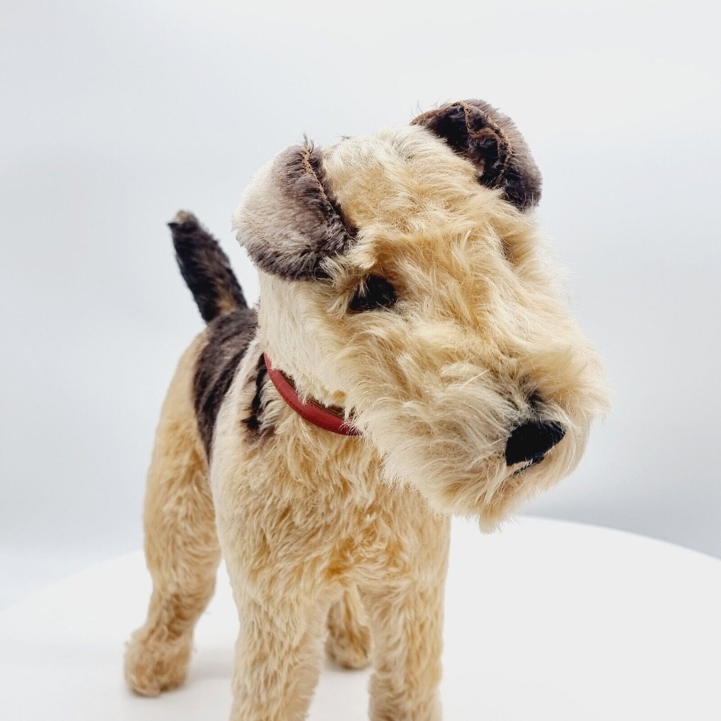 Steiff 1335,02 Terry Airedale Terrier 35 cm 1951 - 1957 größte Ausführung