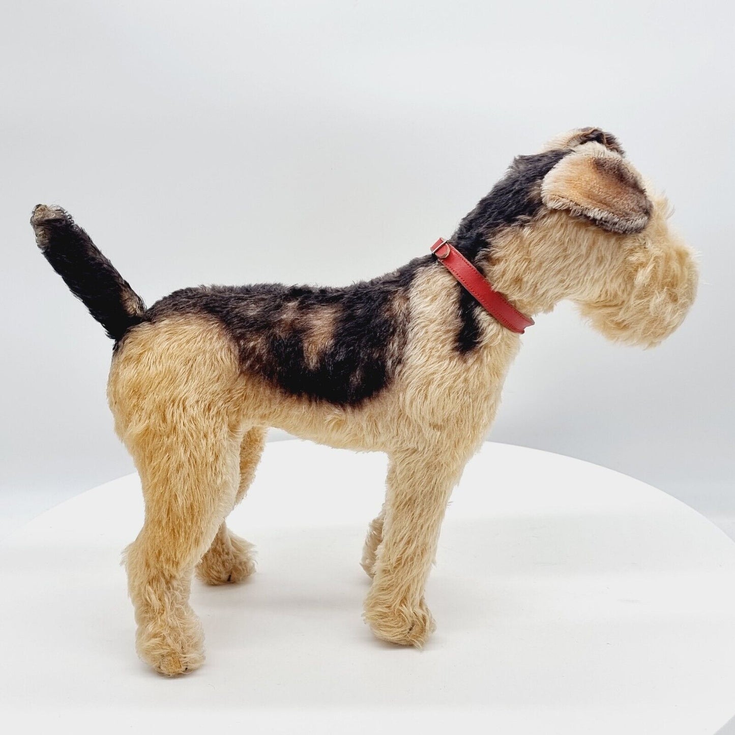 Steiff 1335,02 Terry Airedale Terrier 35 cm 1951 - 1957 größte Ausführung