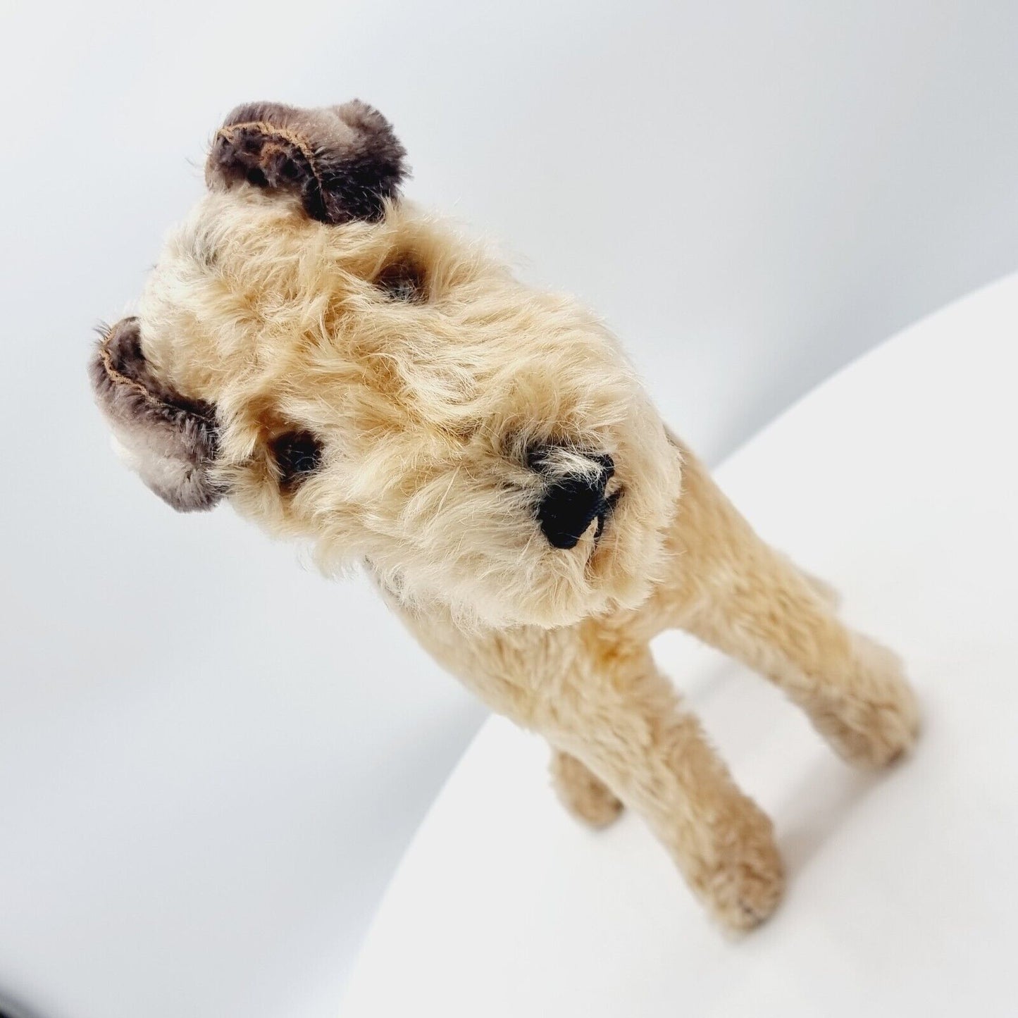 Steiff 1335,02 Terry Airedale Terrier 35 cm 1951 - 1957 größte Ausführung