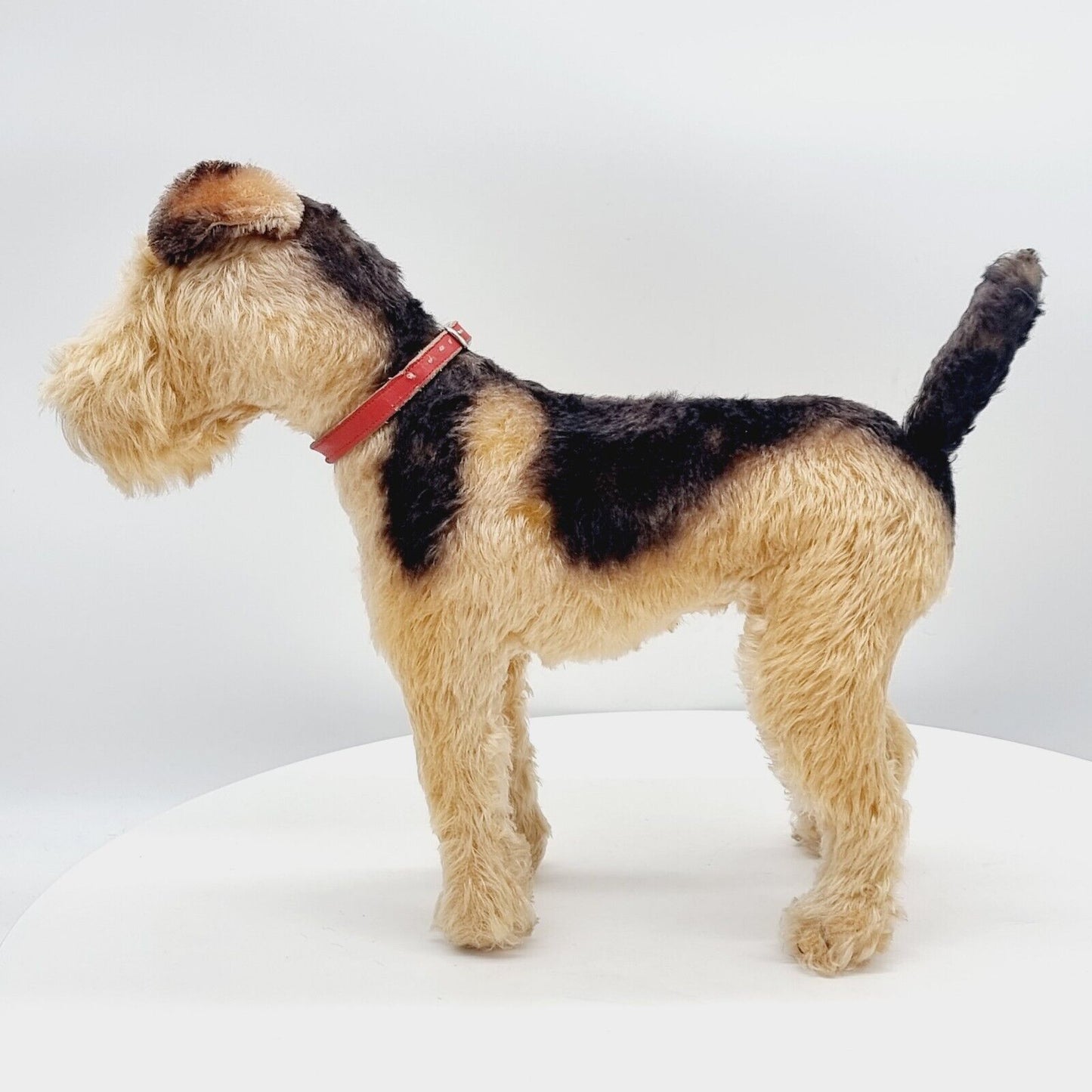 Steiff 1335,02 Terry Airedale Terrier 35 cm 1951 - 1957 größte Ausführung