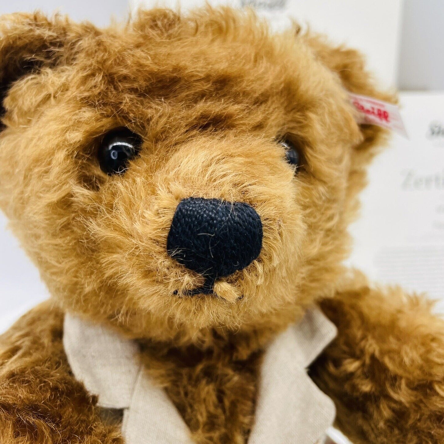 Steiff Teddybär Papa 007330 limitiert 1902 aus 2022 34cm Mohair