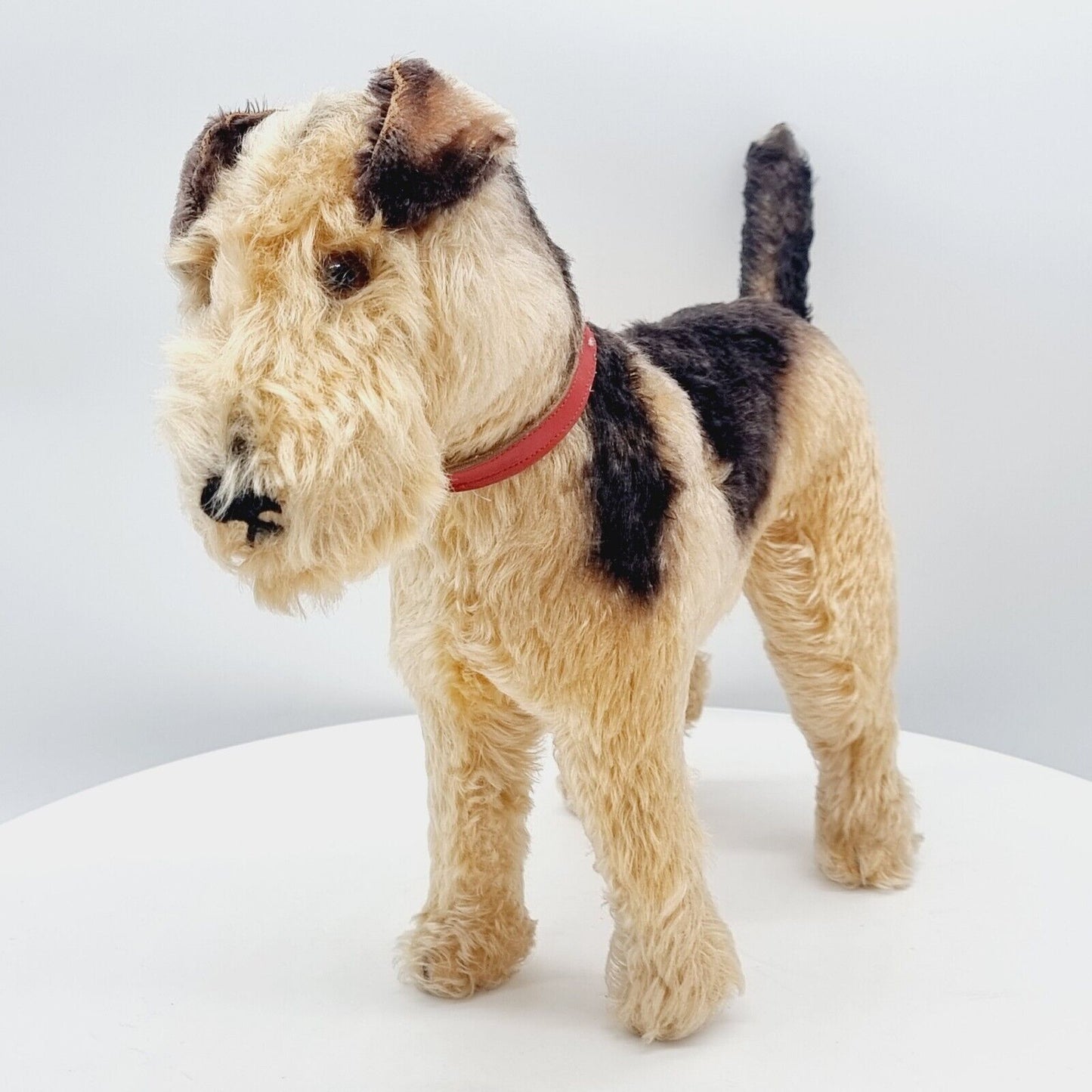 Steiff 1335,02 Terry Airedale Terrier 35 cm 1951 - 1957 größte Ausführung