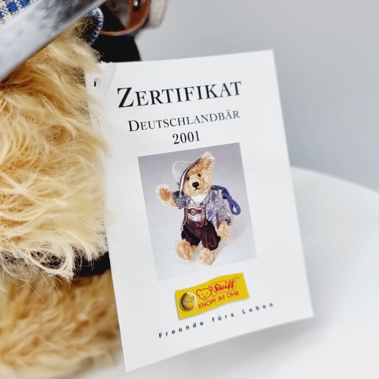 Steiff 670787 Teddybär Bergsteiger blond 29 cm limitiert 2000 Jahr 2001