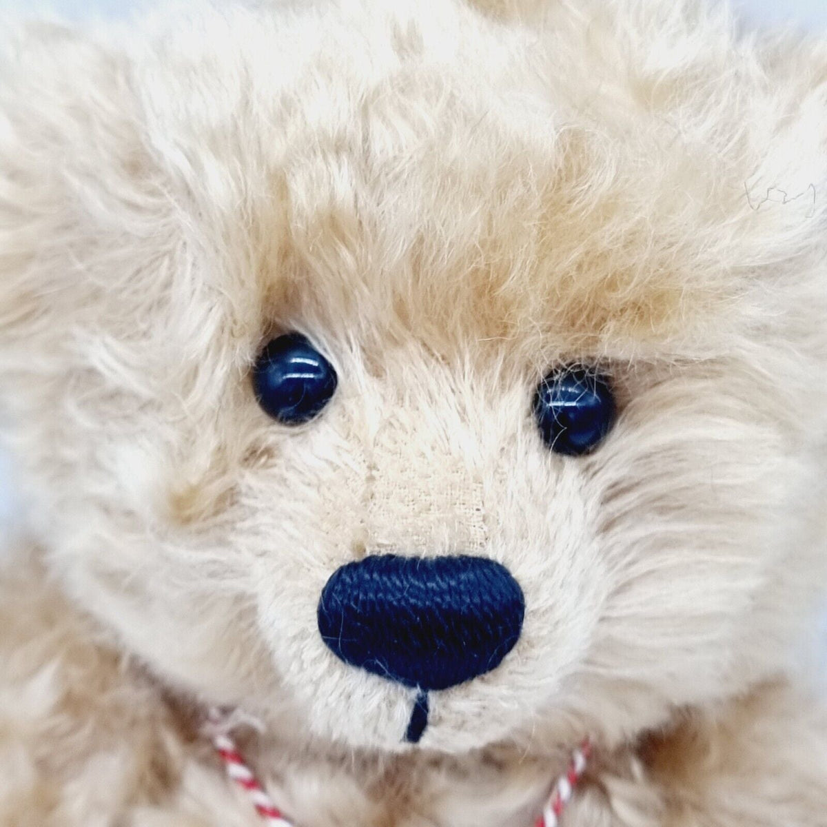 Steiff 658082 Ours Teddybär U Pitchoun limitierte Auflage 2000 Stück 35 cm