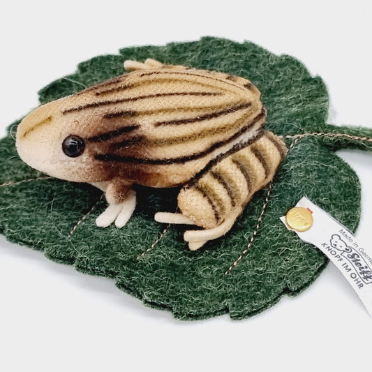 Steiff 420368 Frosch als Nadelkissen Replica 1903 aus 2003 5 cm Samt