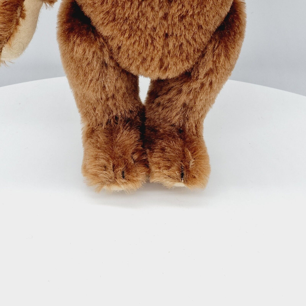 Steiff 420245 Teddybär 1950  31 cm Club Edition 2001 limitiert