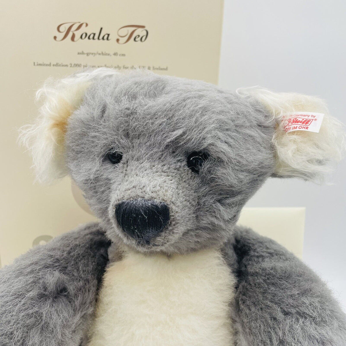 Steiff Teddybär Koala Ted limitiert 2000 aus 2005 UK und Irland exklusiv 40cm