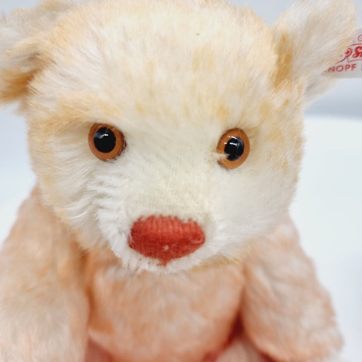 Steiff 670367 Teddybären Set Hello 2000 Good-Bye 1999 Mohair 22 cm