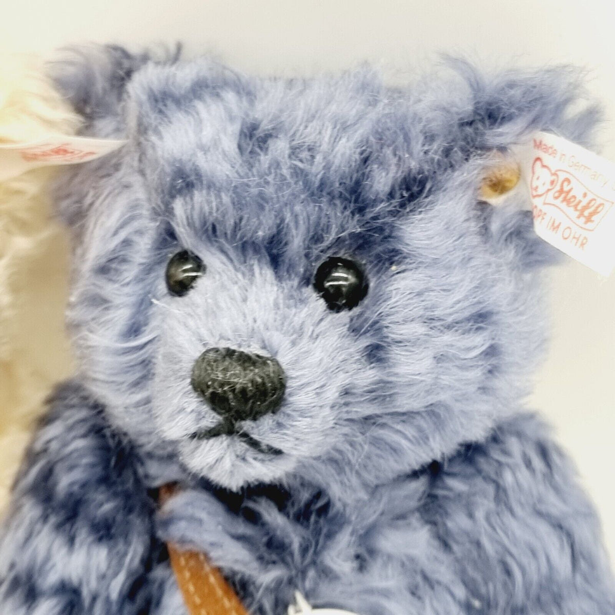 Steiff 420306 Club Jubiläumsset 2002 blau  beige 21 cm