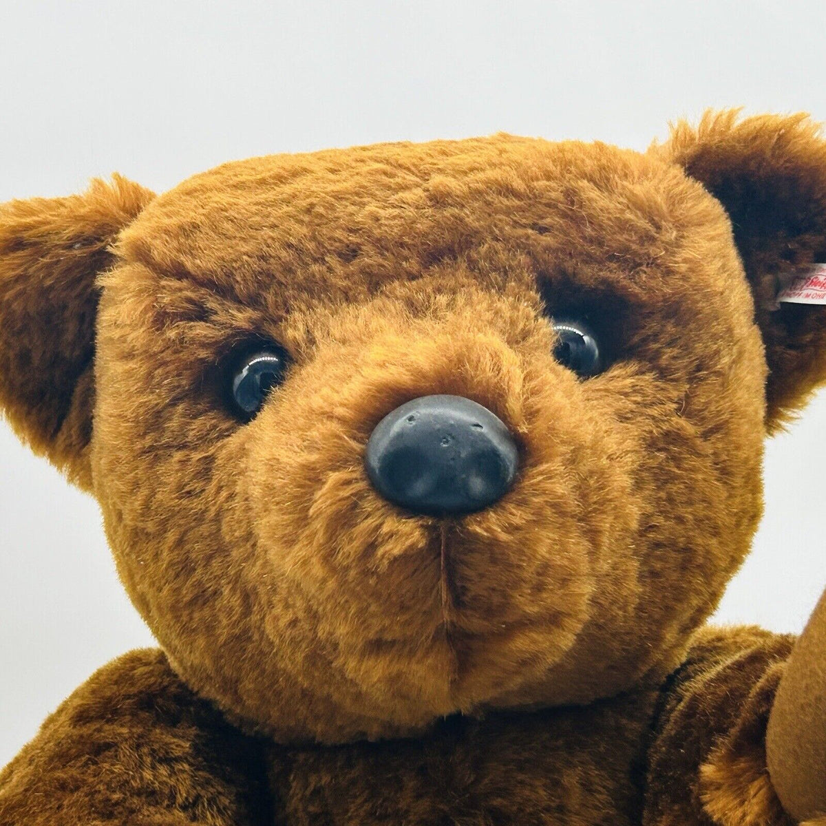Nr. 101! Steiff Danbury Mint 663123 Teddybär PB 55 Re-Edition limitiert 1000