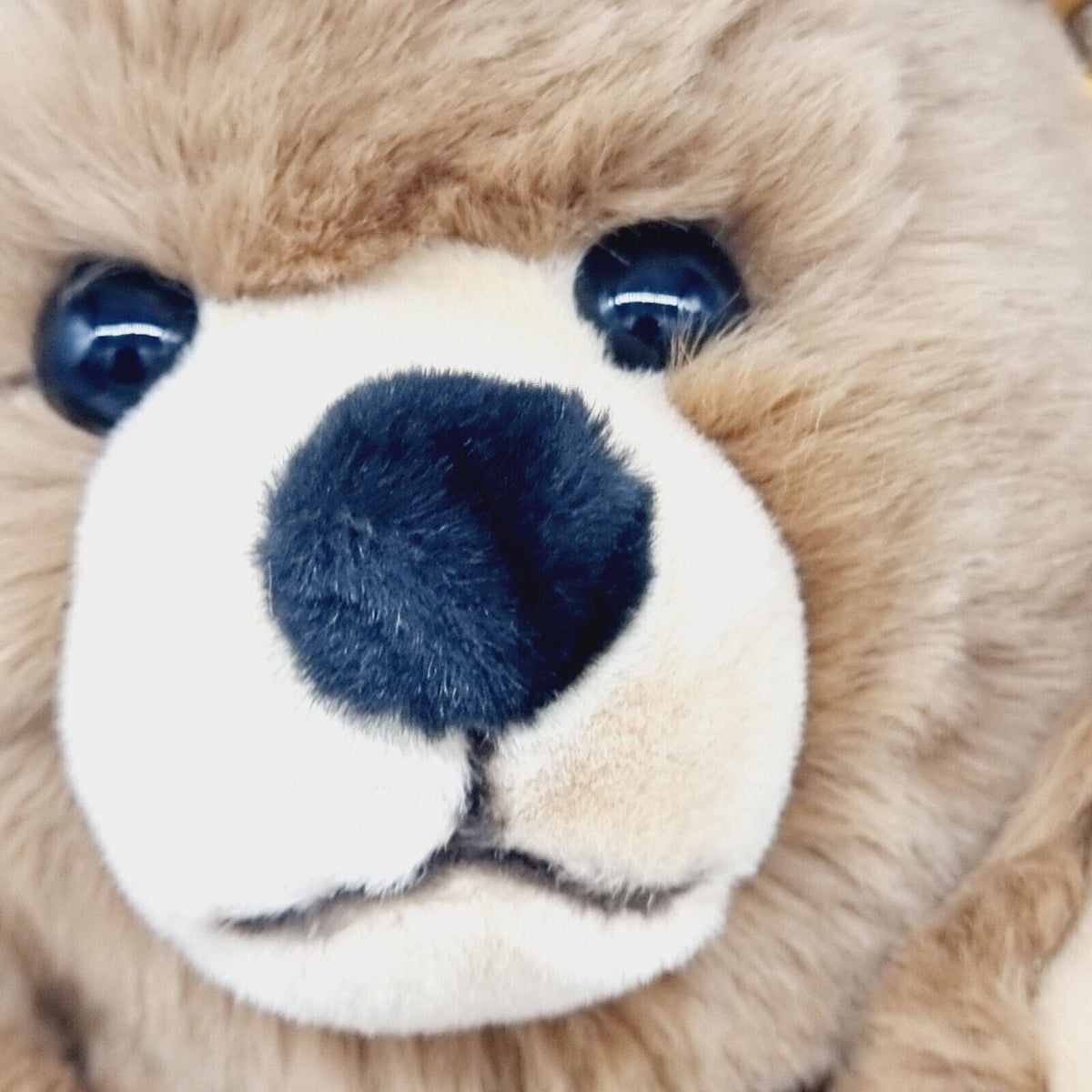 Steiff 022074 Teddybär Molly 40 cm inklusive Etikett Knopf Fahne Brustschild