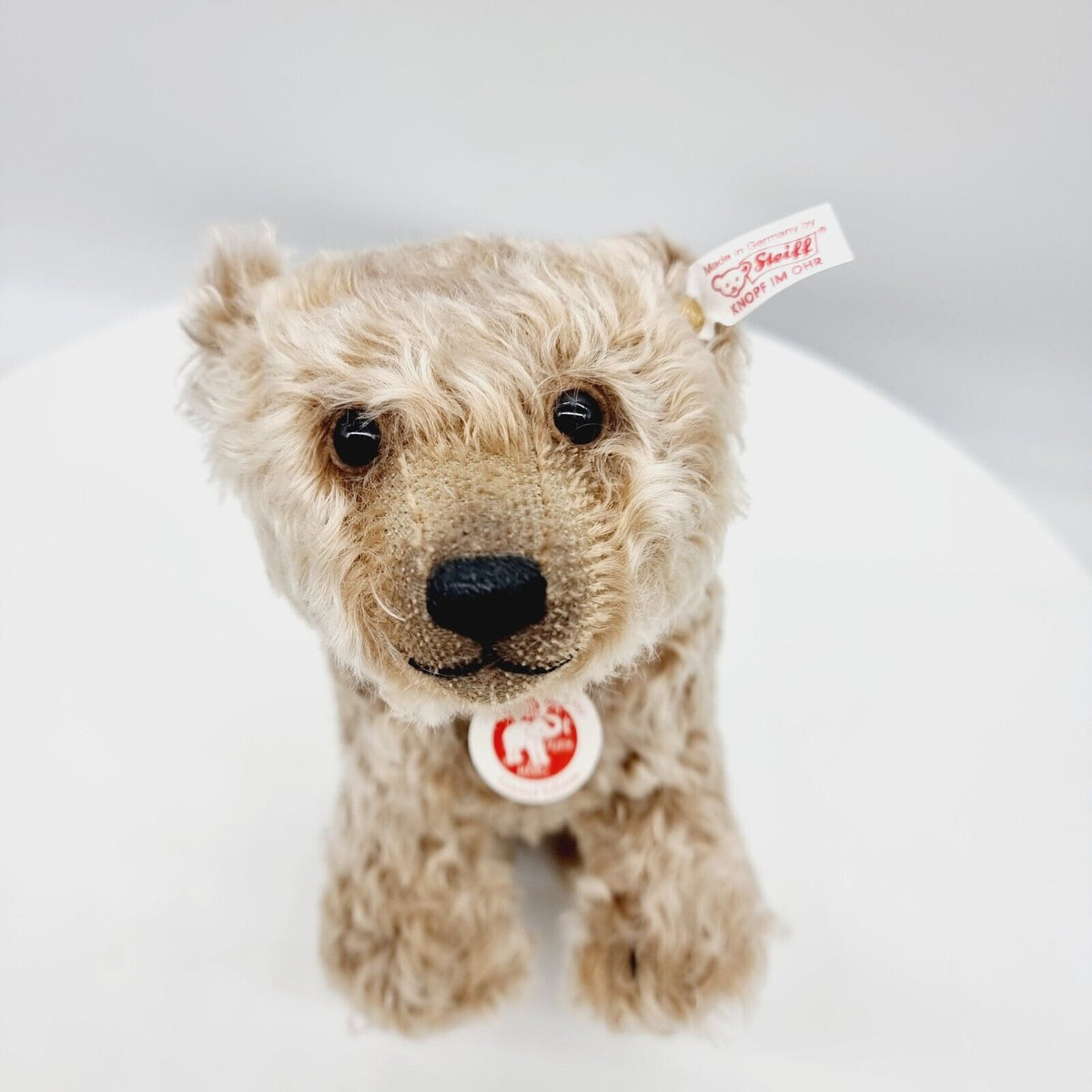 Steiff 663925 Grizzly Teddybär 27 cm braun gespitzt limitiert 1500 Jahr 2011