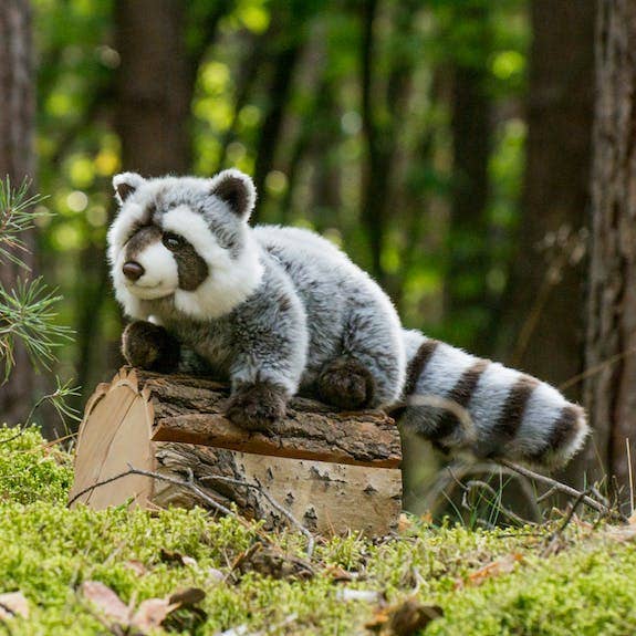 Waschbär 29 cm - Plüschtier - Stofftier