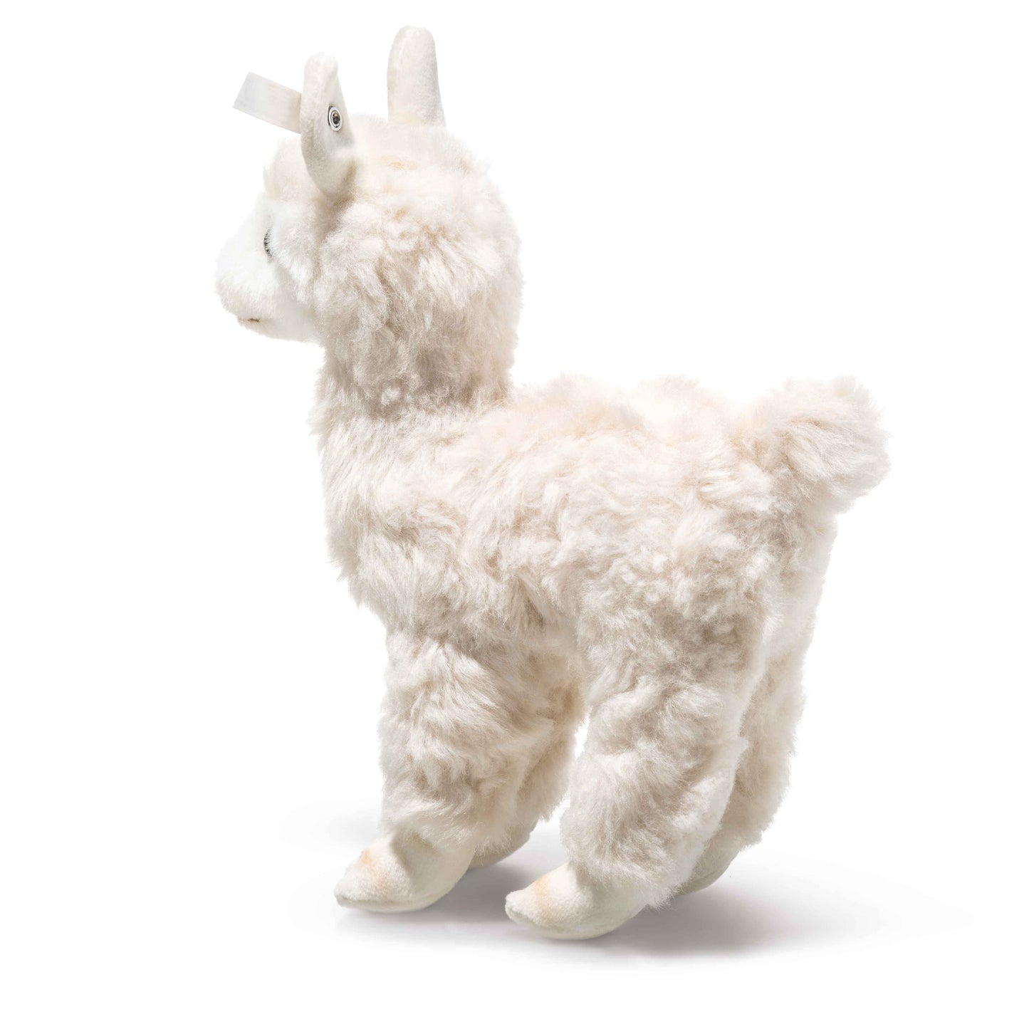 Steiff 069505 Cosy Alpaka