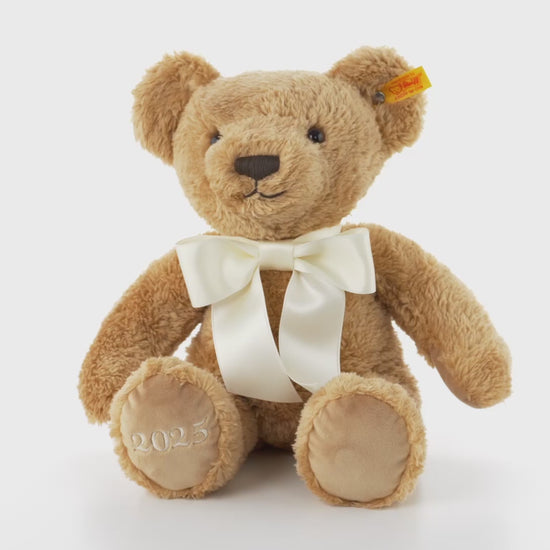 Steiff 114113 Teddybär Cosy Jahresbär 2025 34 cm