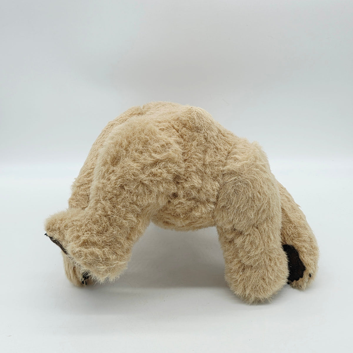 R. John Wright Bear Bo-Sun Teddybär 53 cm limitiert